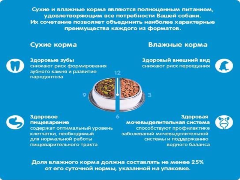 Презентация кормление собак