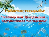 Презентация  Желілер типі. Қандауырша-бассүйексіздер тип тармағы