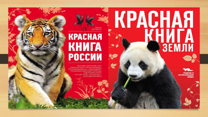 Красная книга территорий. Красная книга. Красная книга земли. Красная книга России раскрытая. Красная книга России фон.