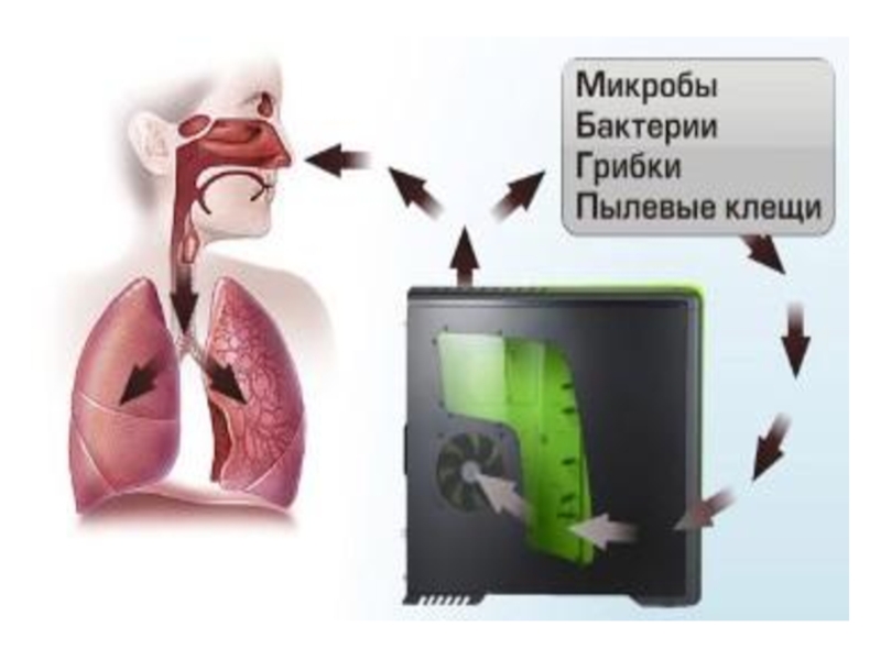 Дыхание пыли. Влияние пыли на дыхательную систему. Воздействие компьютера на органы дыхания. Влияние компьютера на дыхательную систему. Влияние компьютера на дыхательную систему человека.