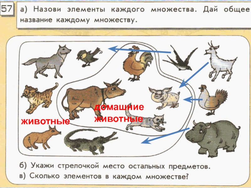 Множества 2 класс презентация