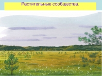 Презентация по биологии Растительные сообщества