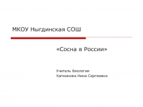Презентация по биологии на тему Голосеменные растения (7 класс)