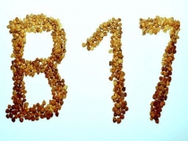 Презентация по биологии на тему Витамин В 17