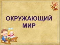 Презентация по окружающему миру Почему нужно есть овощи и фрукты? Почему нужно мыть руки?