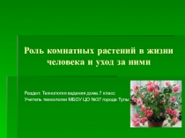 Презентация по технологии на тему Роль комнатных растений в жизни человека