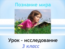 Урок и презентация по познанию мира по теме Воздух и его свойства. Движение воздуха - ветер