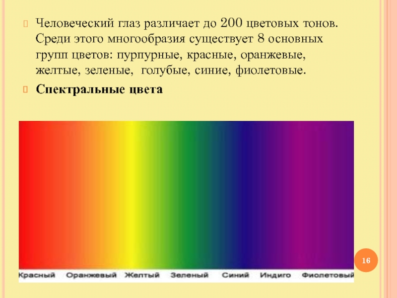 Человек различающий оттенки цвета