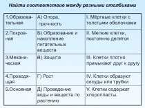 Презентация по биологии на тему Семя, его строение и значение 6 класс