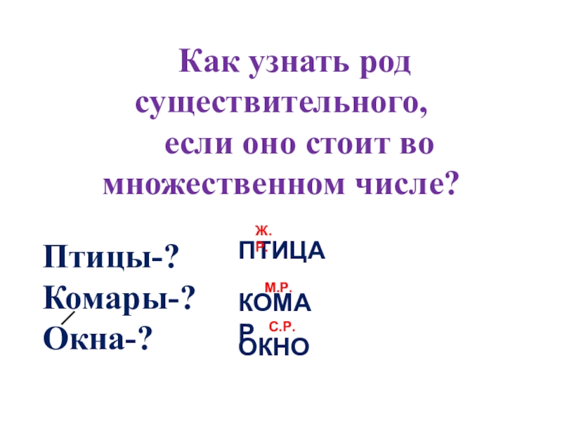 Определи род у имен существительных маленький колибри. Торнадо род существительного. Определить род существительных во множественном числе. Определить род существительного во множественном числе. Как узнать род.