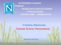 Презентация к уроку биологии в 6 классе по ТИО.