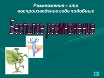 Презентация по биологии