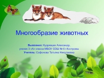 Презентация по окружающему миру Многообразие животных