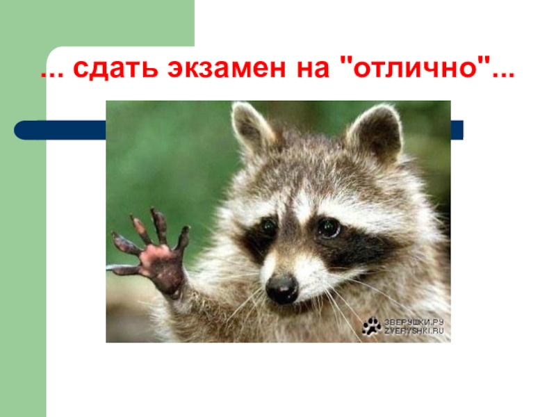 Примет экзамен. Отлично сдать экзамен картинки. Сдал экзамен на отлично. С отличной сдачей экзамена. Сдай сессию на отлично.