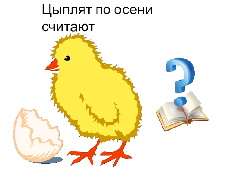 Цыплят по осени считают. Цеплятя ППО отсени считкют. Пословицы про цыплят. Пословица цыплят по осени.