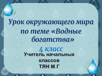 Презентация по окружающему миру на тему :  Водные богатства