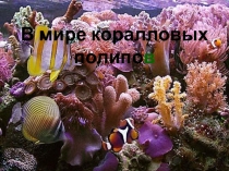 Презентация по биологии В мире коралловых полипов (7 класс)