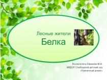 Презентация для детей дошкольного возрастаБелка