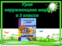 Открытый урок по окружающему миру ПНШ 3 класс Полезные ископаемые