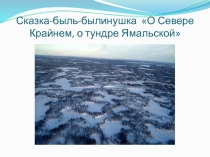 Презентация по природоведению (5 класс) О Севере Крайнем, о тундре Ямальской