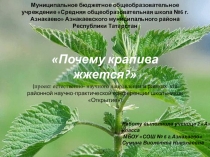 Почему крапива жжется