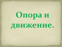 Презентация к интегрированному уроку по биологии и математике на тему Опора и движение (7 класс)