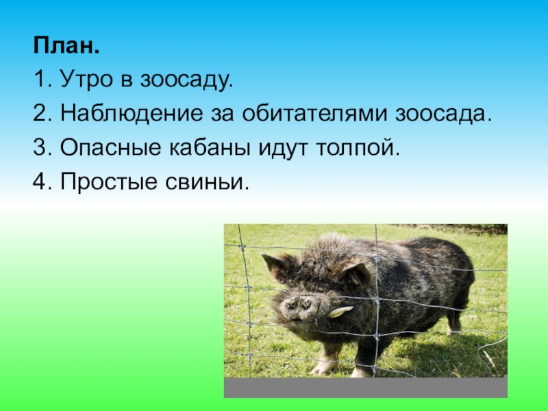 Чарушин кабан презентация 4 класс школа россии презентация