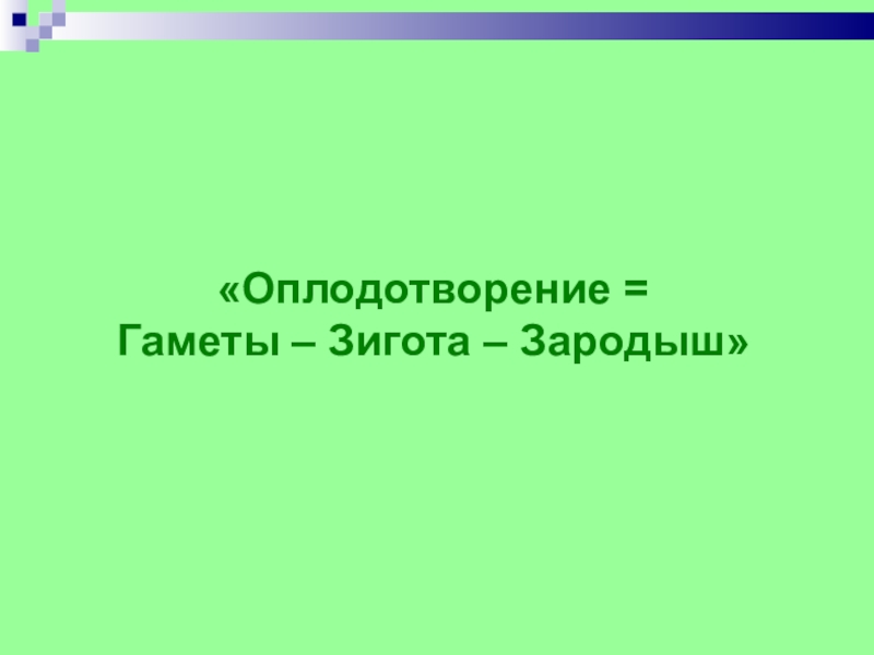 «Оплодотворение =Гаметы – Зигота – Зародыш»