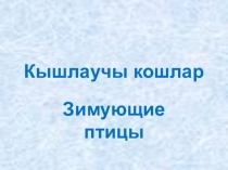 Презентация по татарскому языку Кышлаучы кошлар