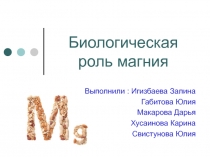 Презентация к занятию Биологическая роль металлов. Использование бионеорганических веществ в медицине. Магний