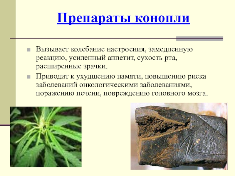 Влияние курение марихуаны на организм интернет магазин семян конопли почтой