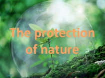 Презентация по английскому языку на тему The protection of nature