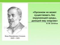 Презентация к уроку Метаболизм в клетке
