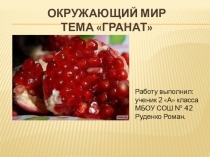 Презентация по окружающему миру ученика 4 А класса МБОУ Школа №42 г.о. Самара Руденко Романа учитель Панькина Ольга Фёдоровна