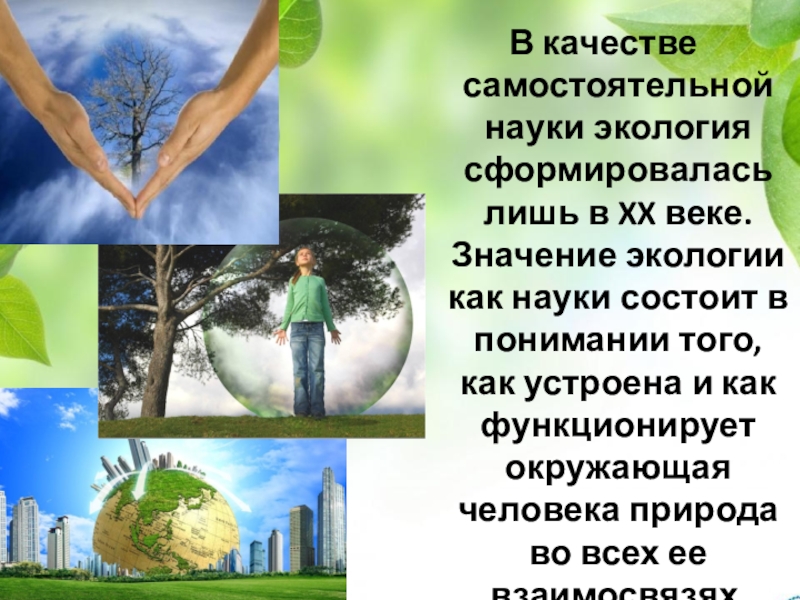 Значение экологии. Что изучает экология. Значение науки экологии. Экология как наука сформировалась в. Значение экологии как науки.