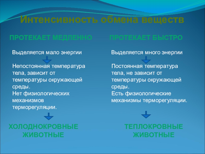 Обмен веществ главный признак жизни 6 класс презентация