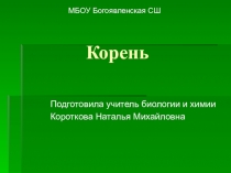 Презентация к уроку биологии 7 класса Разнообразие корней растений