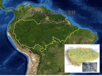 Презентация по географии 7 класса Обитатели экваториальных и тропических лесов Южной Америки