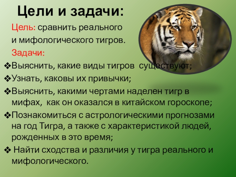 Тигр какое государство