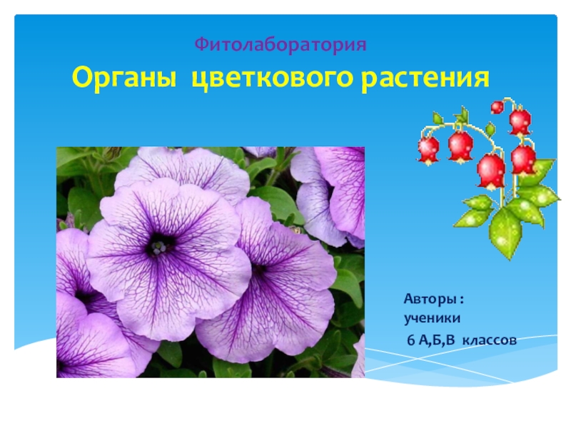 Органы цветкового растения 6 класс биология. Растения обобщение. Клубные растения биология. Органы цветковых растений 6 класс презентация.