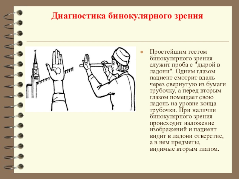 Особенности предков привели к формированию бинокулярного зрения. Исследование бинокулярного зрения. Способы определения бинокулярного зрения. Способы исследования бинокулярного зрения. Способы (пробы) выявления бинокулярного зрения..