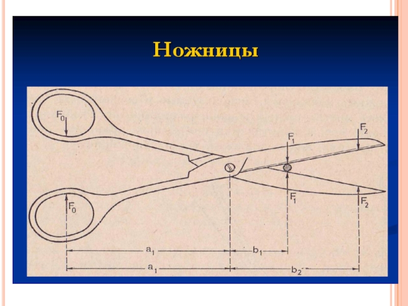 Пользуясь рисунком 169 объясните действие ножниц как рычага физика 7 класс из учебника ответ