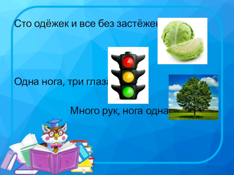 Сто одежек и все без застежек. 100 Одежек и все без застежек. Загадка 100 одежек и все без застежек. СТО одёжек и все без застёжек загадка.