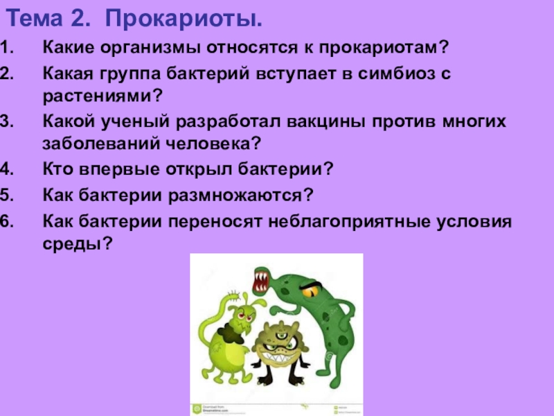 К прокариотам относят. К прокариотам относятся. К прокариотам относятся организмы. Прокариотические организмам относят. К прокариотам относятся группы.