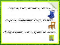 Презентация по развитию речи на тему: Деревья, кустарники, травы