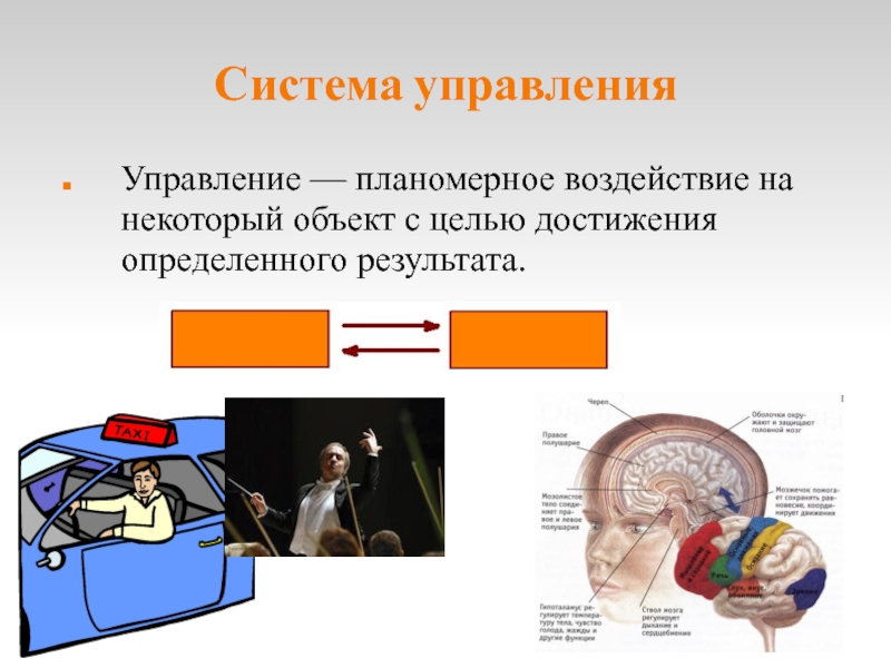 Система 10 класс. Системы управления в информатике. Что такое управление в информатике. Управлябище система в информатике. Что называется системой управления в информатике.