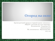 Экологический проект Огород на окне в старшей группе ДОУ