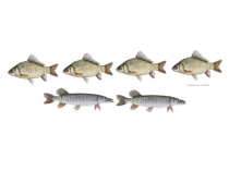 Презентация по математике Связь между слагаемыми и суммой 1 класс