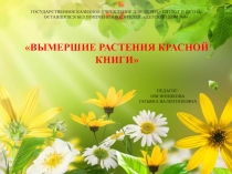 Презентация: Вымершие растения красной книги.