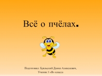 Презентация по окружающему миру Всё о пчёлах (4 класс)